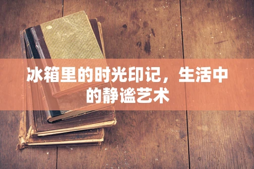 冰箱里的时光印记，生活中的静谧艺术