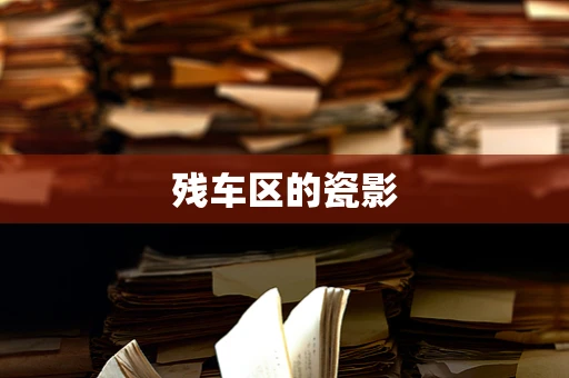 残车区的瓷影