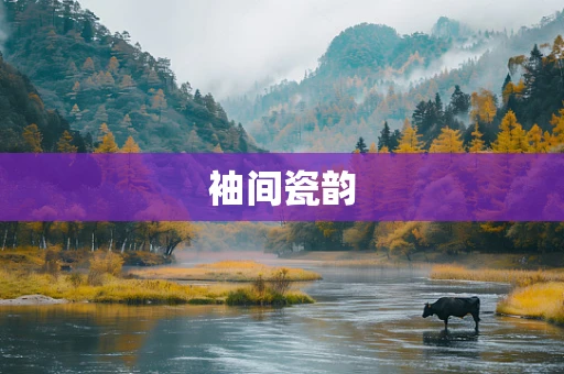 袖间瓷韵