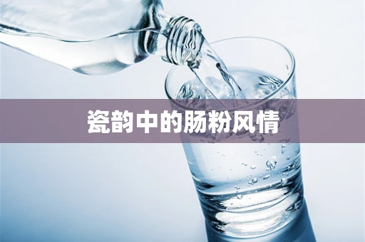 瓷韵中的肠粉风情