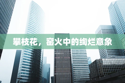 攀枝花，窑火中的绚烂意象