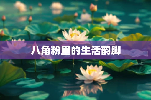 八角粉里的生活韵脚