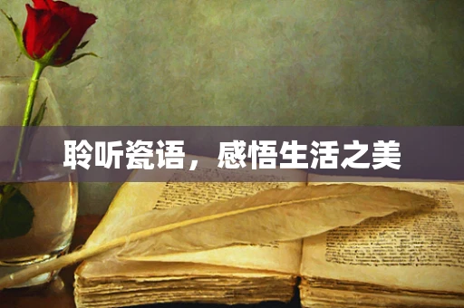 聆听瓷语，感悟生活之美