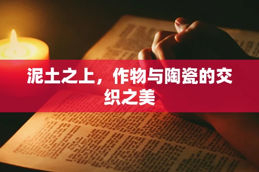 泥土之上，作物与陶瓷的交织之美