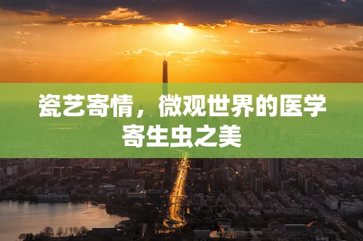 瓷艺寄情，微观世界的医学寄生虫之美