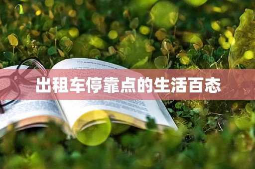 出租车停靠点的生活百态