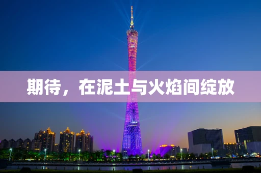 期待，在泥土与火焰间绽放