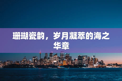 珊瑚瓷韵，岁月凝萃的海之华章