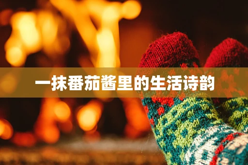 一抹番茄酱里的生活诗韵