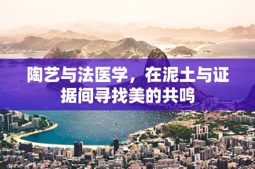 陶艺与法医学，在泥土与证据间寻找美的共鸣