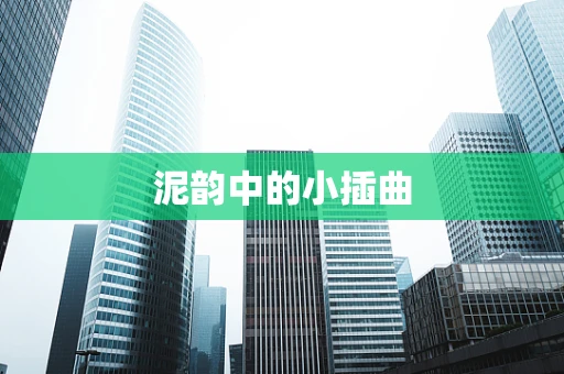 泥韵中的小插曲