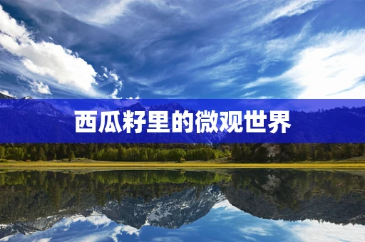 西瓜籽里的微观世界