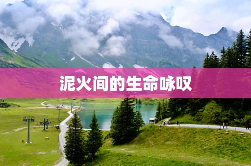 泥火间的生命咏叹