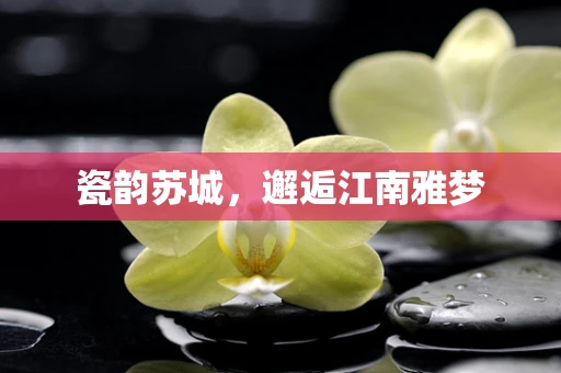 瓷韵苏城，邂逅江南雅梦