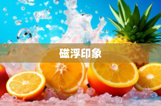 磁浮印象