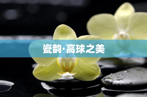 瓷韵·高球之美