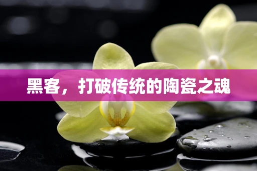 黑客，打破传统的陶瓷之魂