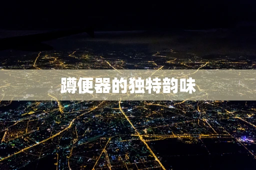 蹲便器的独特韵味