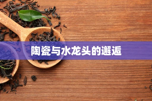 陶瓷与水龙头的邂逅