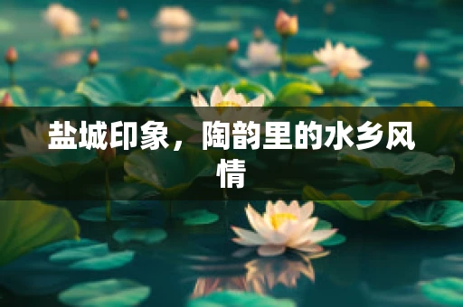 盐城印象，陶韵里的水乡风情