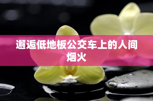 邂逅低地板公交车上的人间烟火