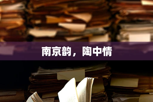南京韵，陶中情
