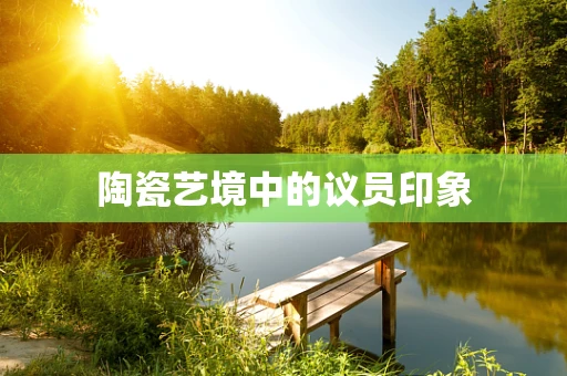 陶瓷艺境中的议员印象