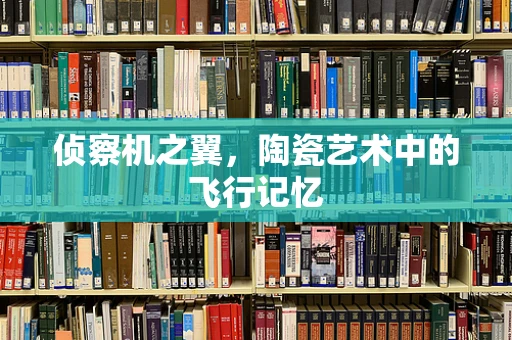 侦察机之翼，陶瓷艺术中的飞行记忆