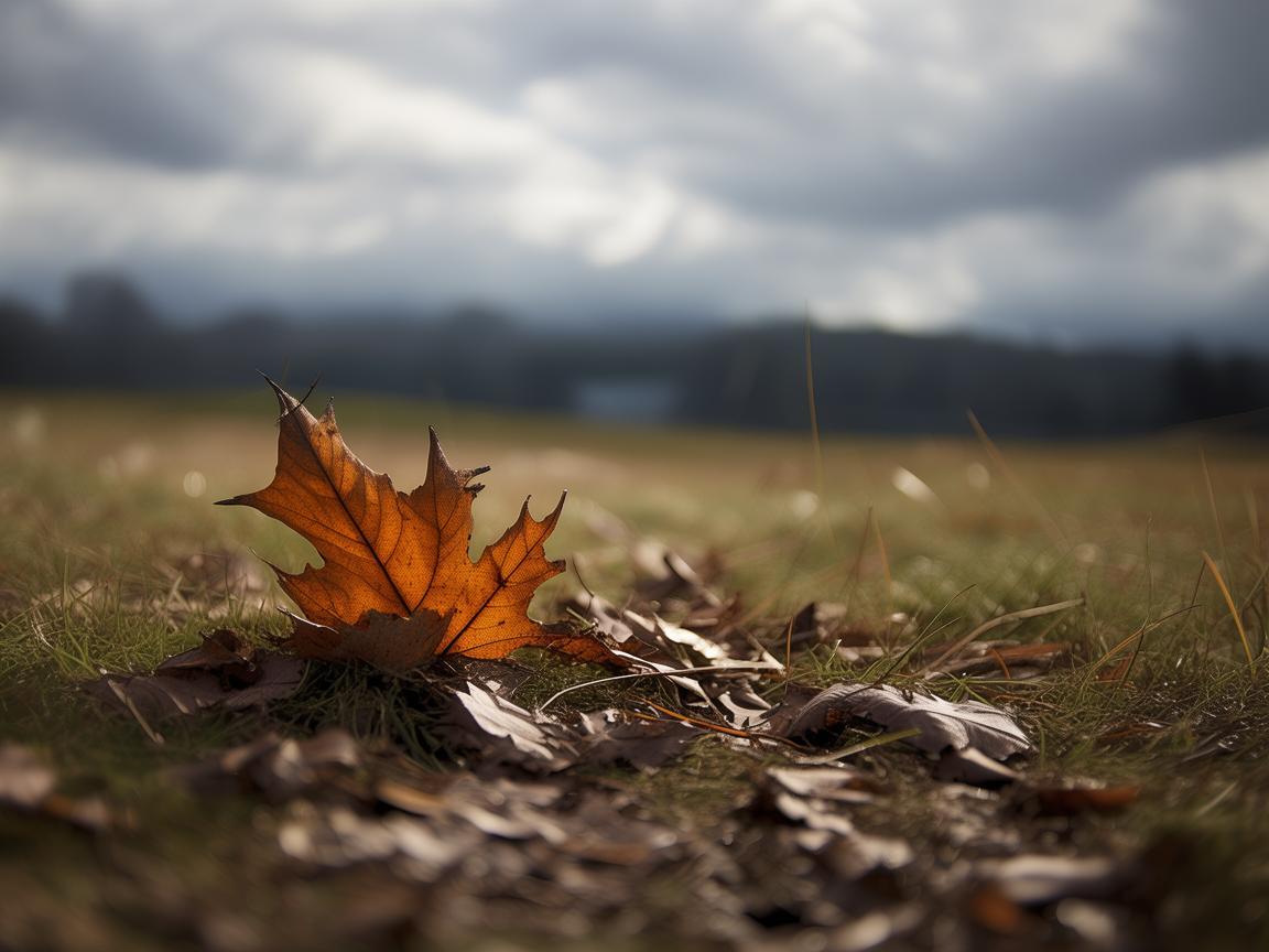 破碎的宁静,美利坚天空下的哀悼 破碎的宁静,美利坚天空下的哀悼